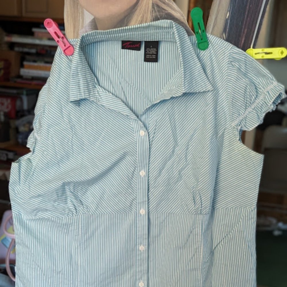 Pinstripe Button Down - image 1
